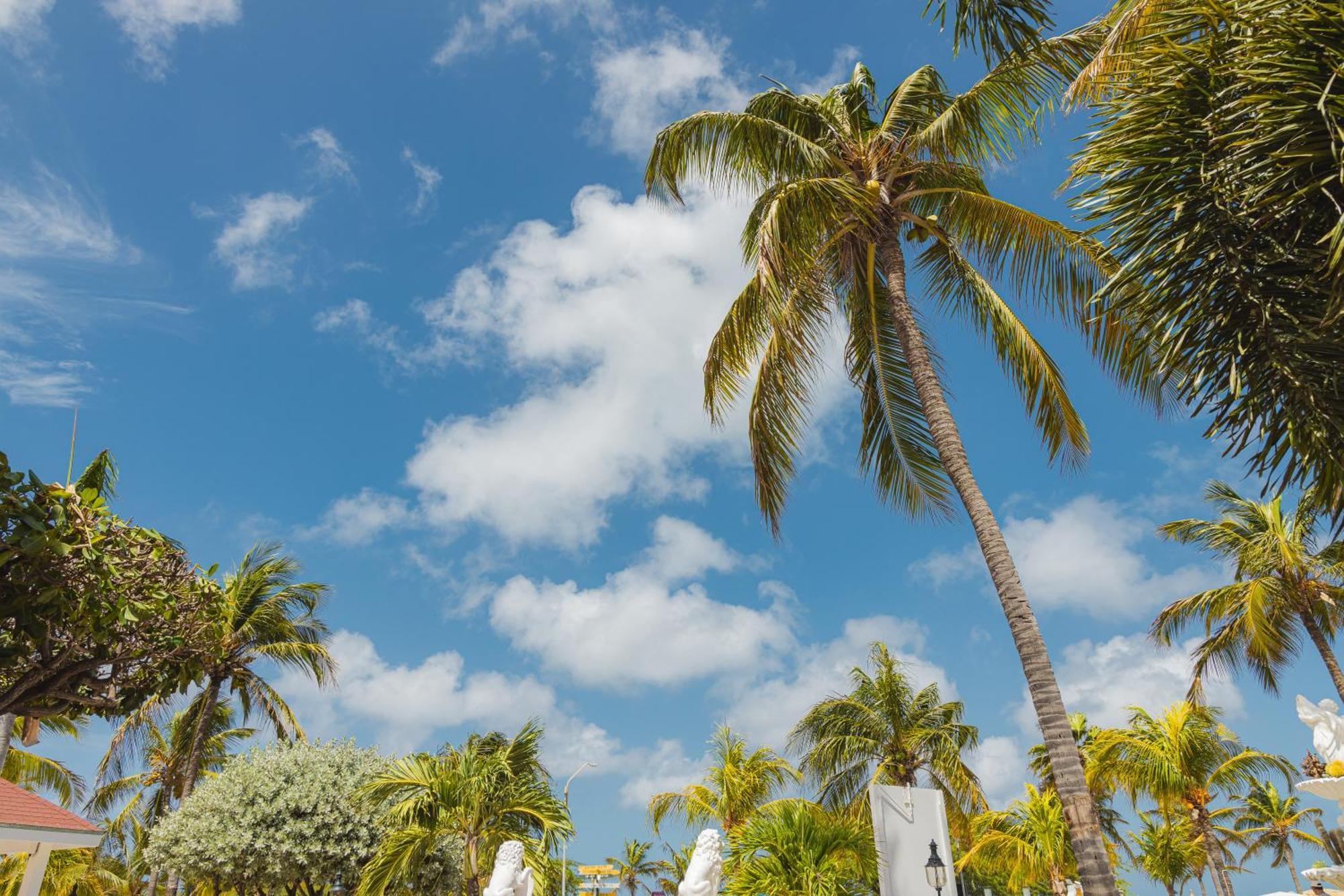 Amsterdam Manor Beach Resort Palm Beach Exteriér fotografie