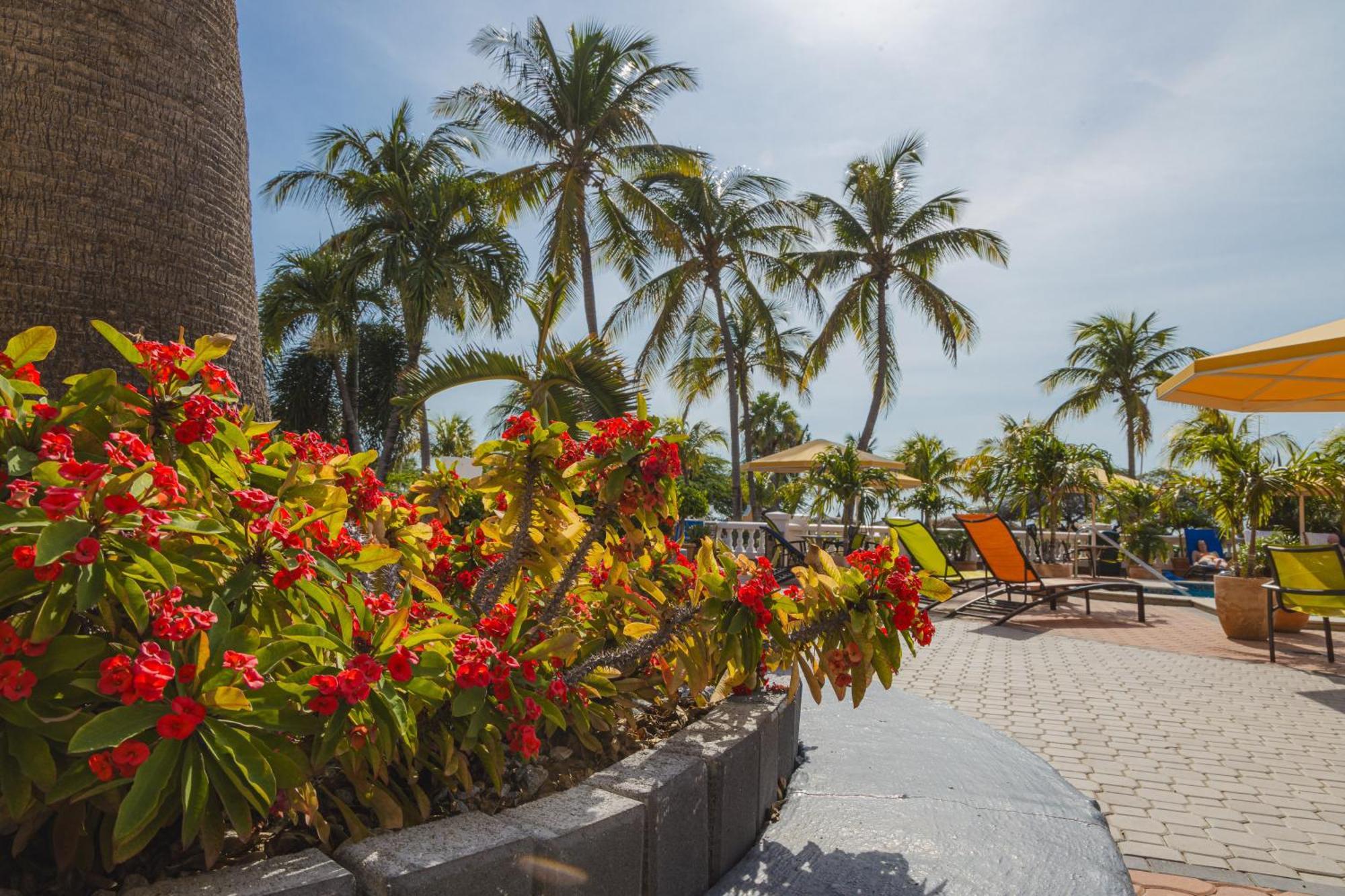 Amsterdam Manor Beach Resort Palm Beach Exteriér fotografie