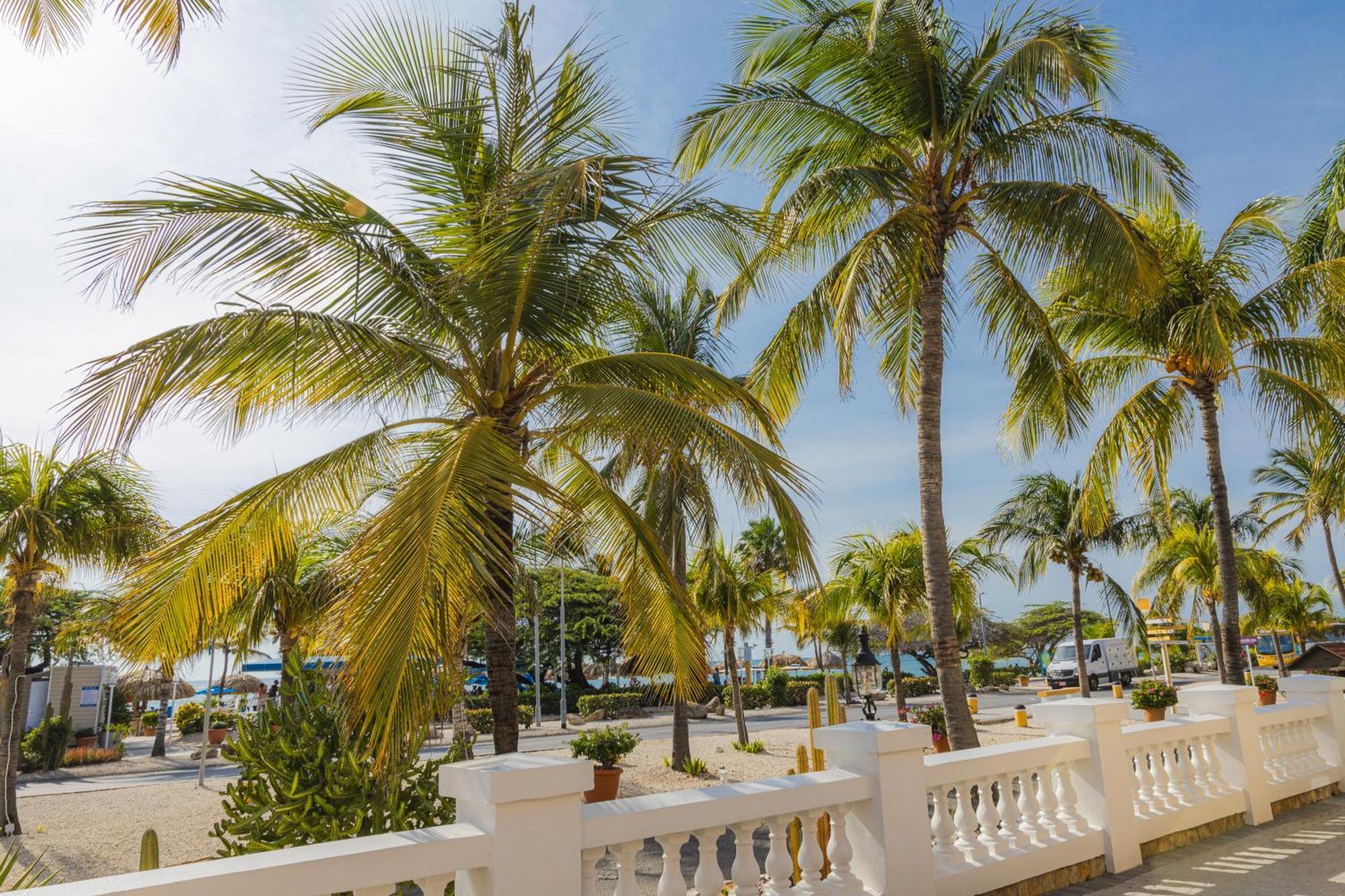 Amsterdam Manor Beach Resort Palm Beach Exteriér fotografie